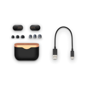 Sony WF-1000XM3 - Wireless Noise Cancelling Headphones